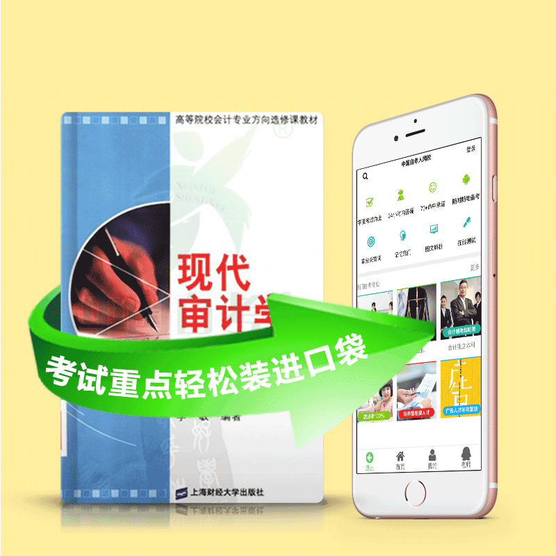 06069 审计学原理 2025年4月精华版